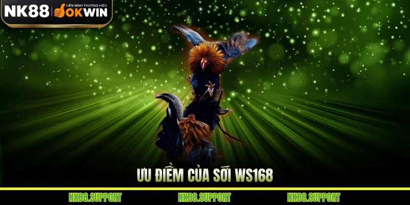 Ưu điểm của sới WS168